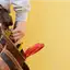Handyman repair service in Fort Wayne, IN for home fixes and improvements